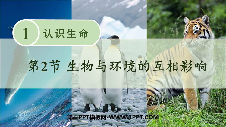《生物与环境的相互影响》PPT教学课件下载