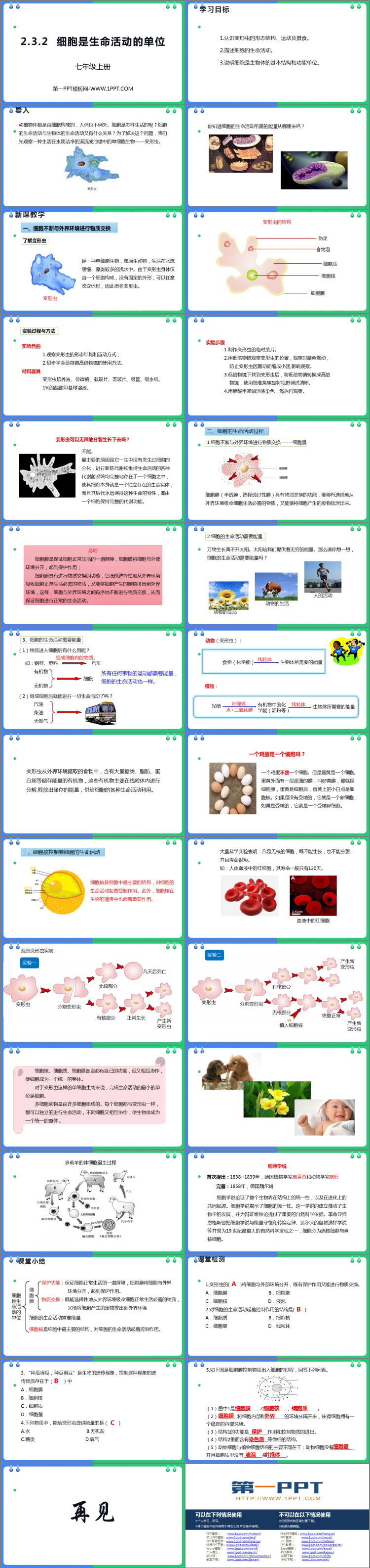 《细胞是生命活动的单位》PPT免费课件