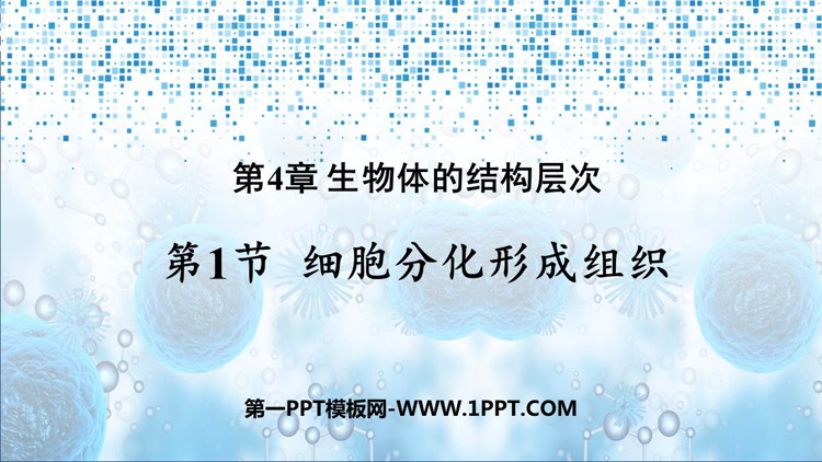 《细胞分化形成组织》PPT优秀课件