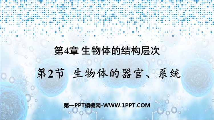 《生物体的器官、系统》PPT免费课件