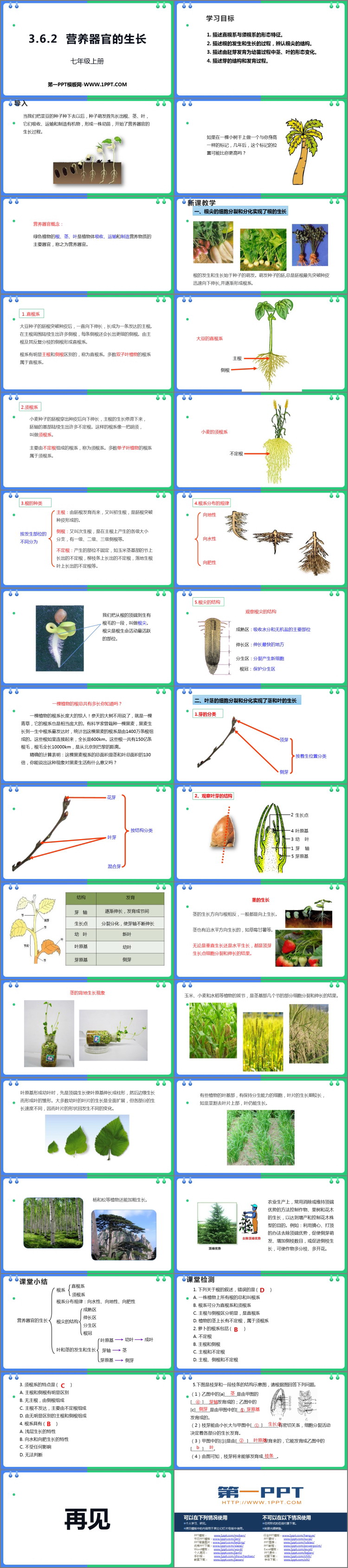 《营养器官的生长》PPT优质课件