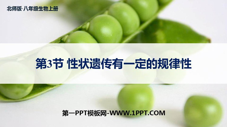《性状遗传有一定的规律性》PPT优质课件
