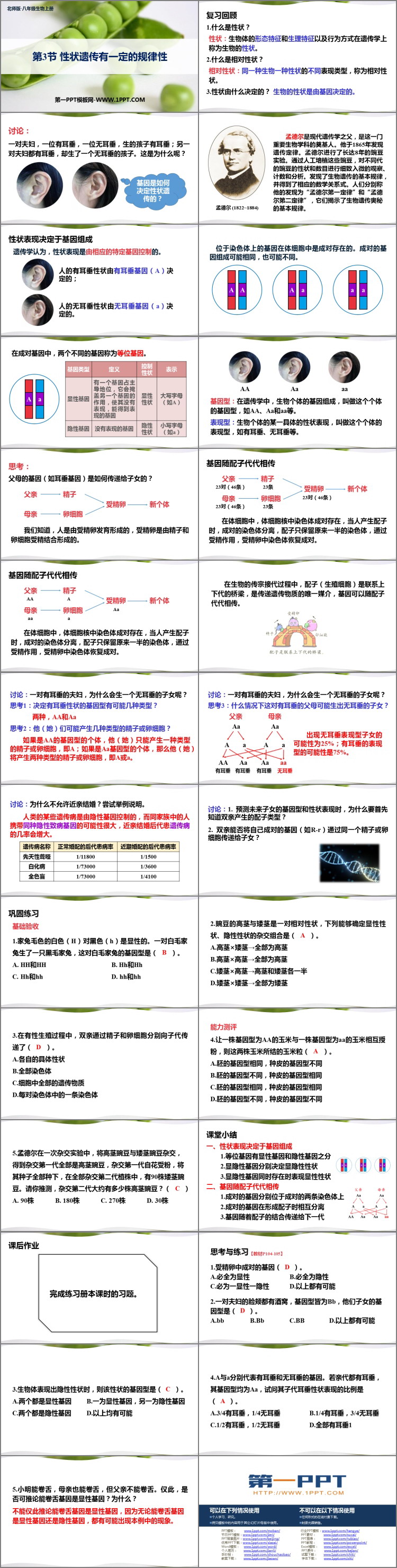《性状遗传有一定的规律性》PPT优质课件