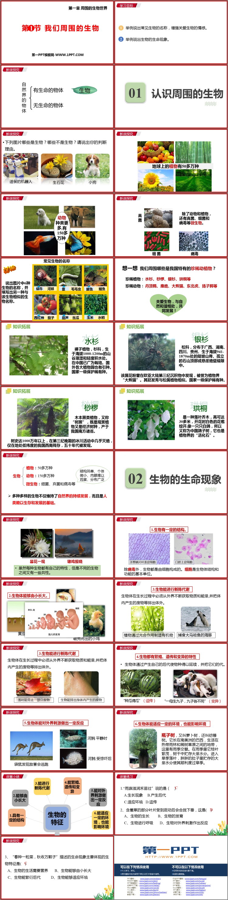 《我们周围的生物》PPT教学课件下载