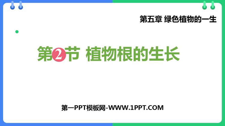 《植物根的生长》PPT优质课件