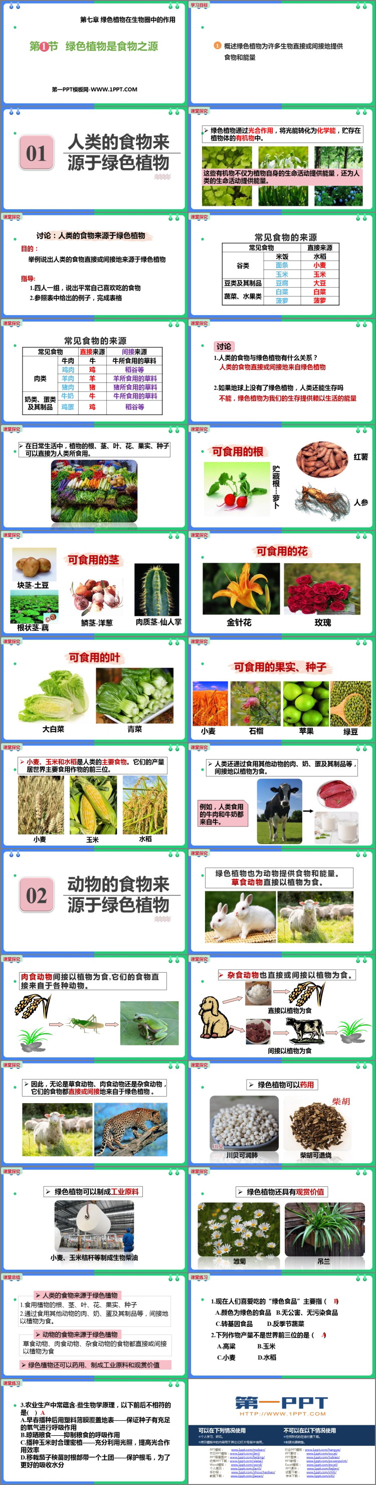 《绿色植物是食物之源》PPT免费下载