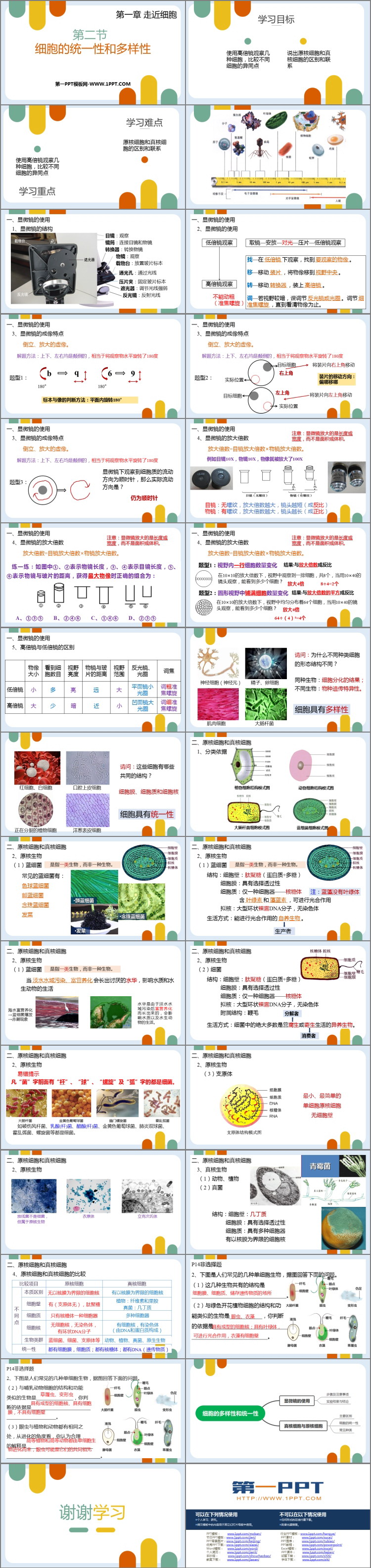 《细胞的多样性和统一性》走近细胞PPT课件下载