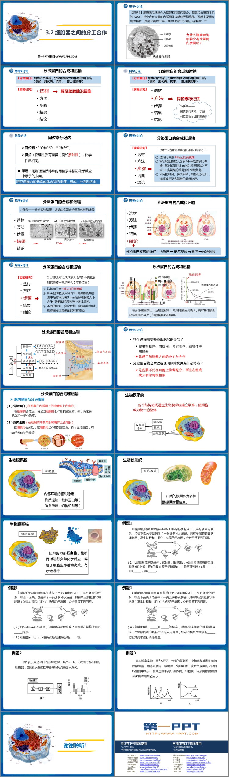 《细胞器之间的分工合作》细胞的基本结构PPT课件下载