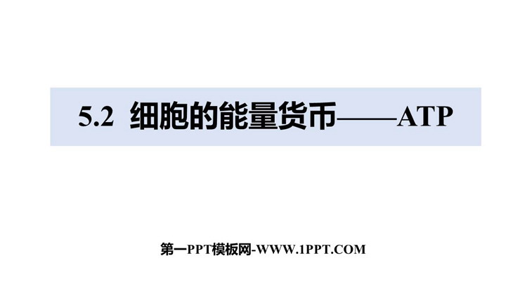 《细胞的能量“货币”ATP》细胞的能量供应和利用PPT下载