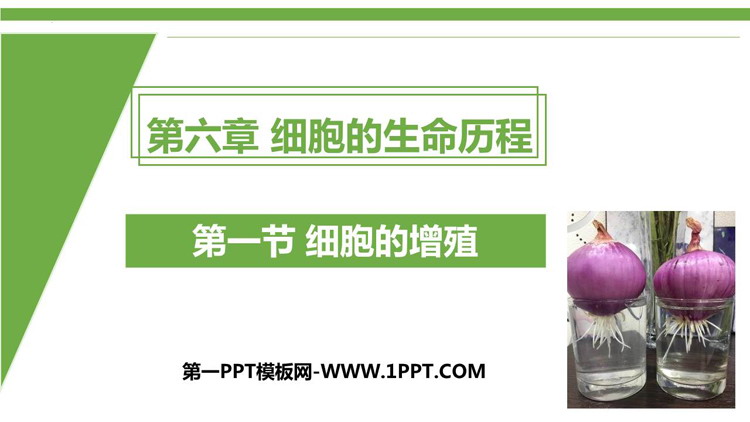《细胞的增殖》细胞的生命历程PPT免费课件
