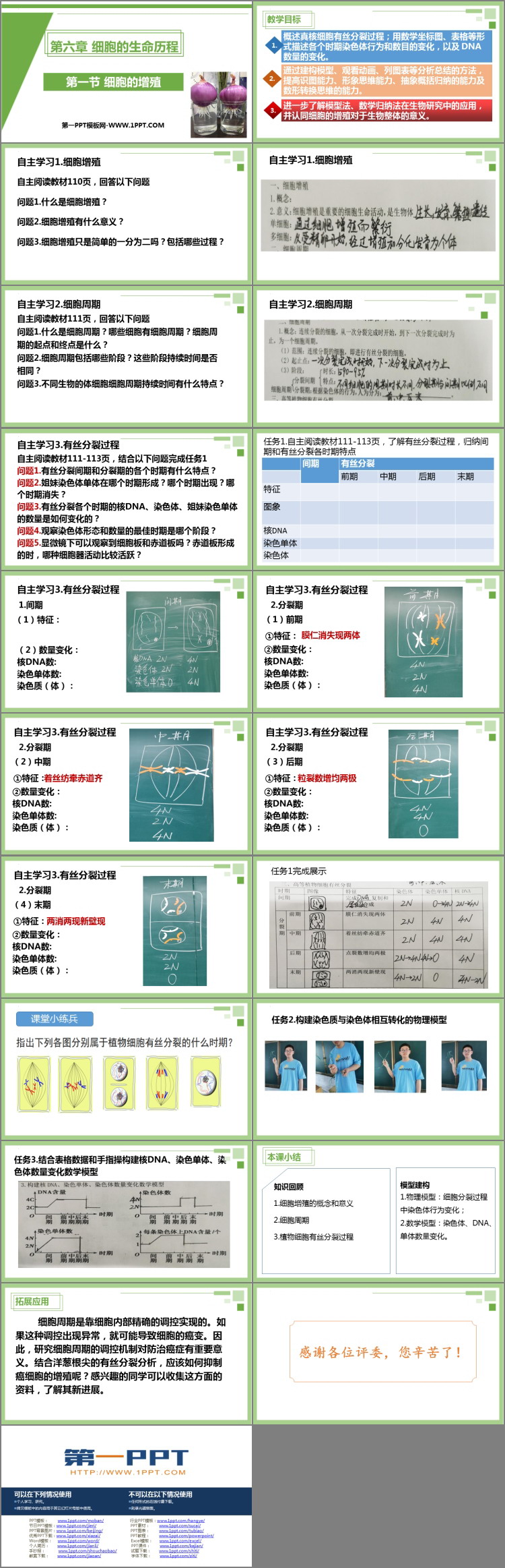 《细胞的增殖》细胞的生命历程PPT免费课件