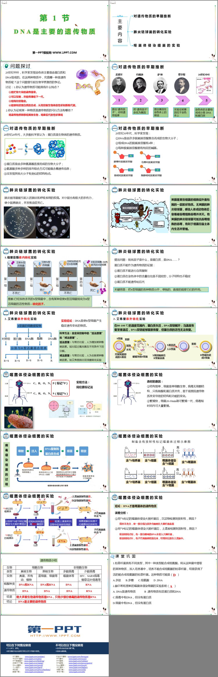 《DNA是主要的遗传物质》基因的本质PPT教学课件