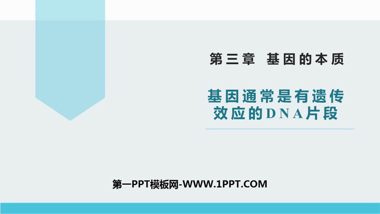 《基因通常是有遗传效应的DNA片段》基因的本质PPT课件下载