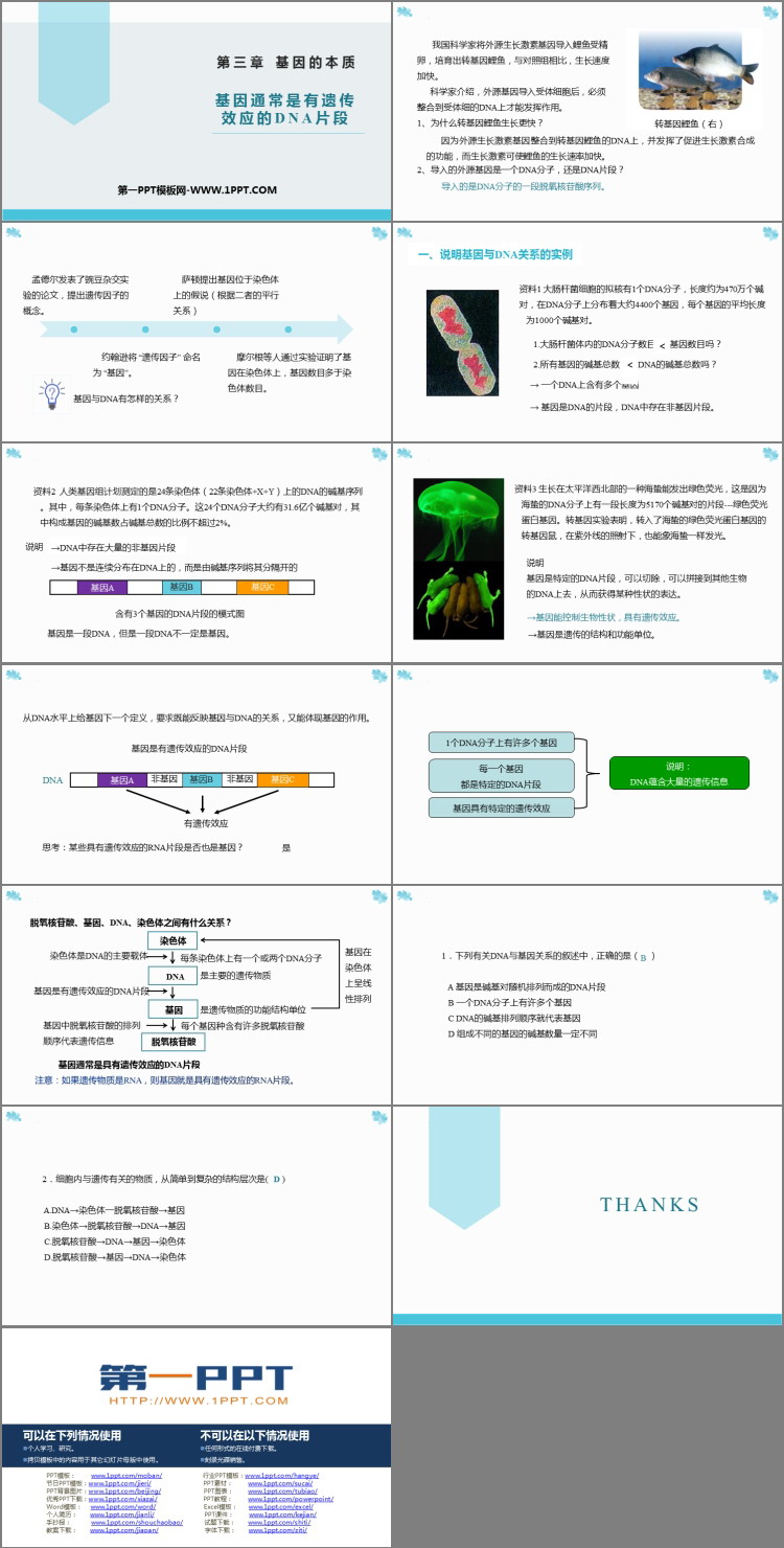 《基因通常是有遗传效应的DNA片段》基因的本质PPT课件下载