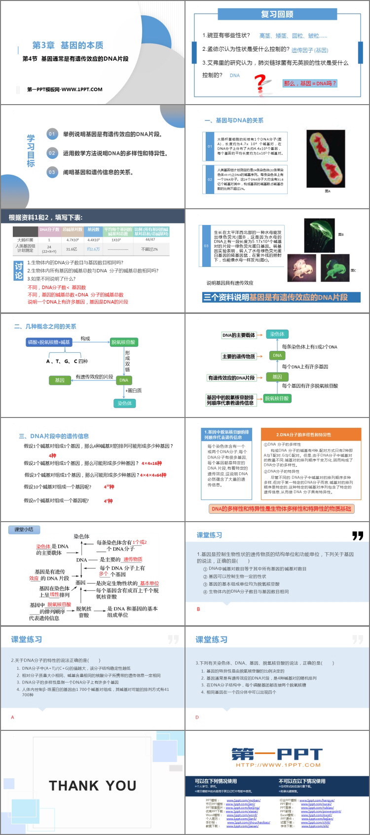 《基因通常是有遗传效应的DNA片段》基因的本质PPT免费课件