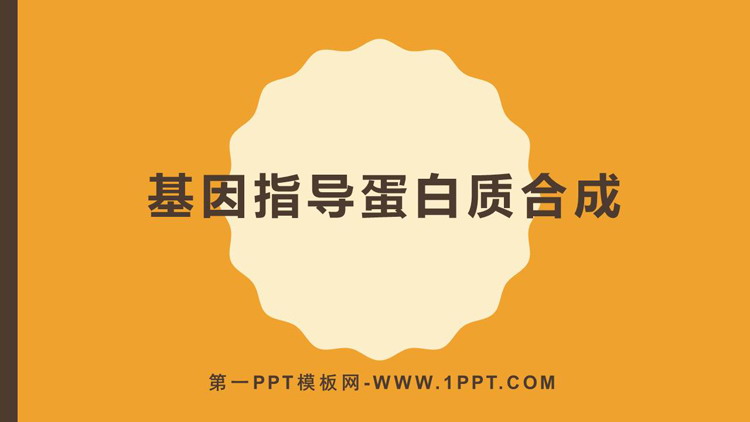 《基因指导蛋白质的合成》基因的表达PPT免费课件