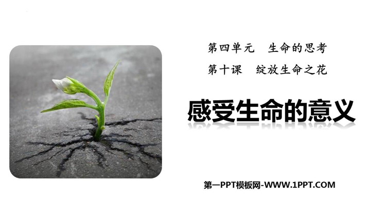 《感受生命的意义》PPT精品教学课件