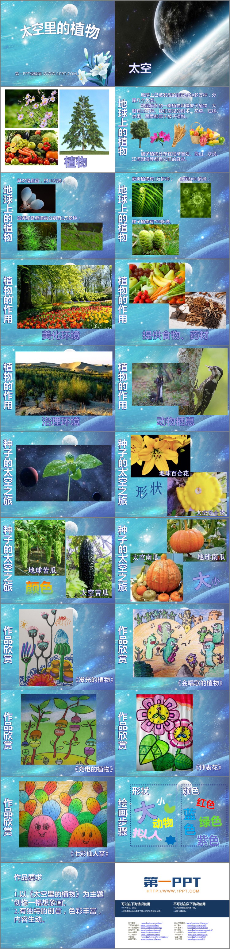 《太空里的植物》PPT免费下载
