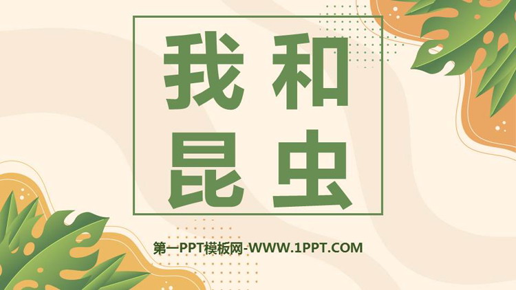 《我和昆虫》PPT课件下载