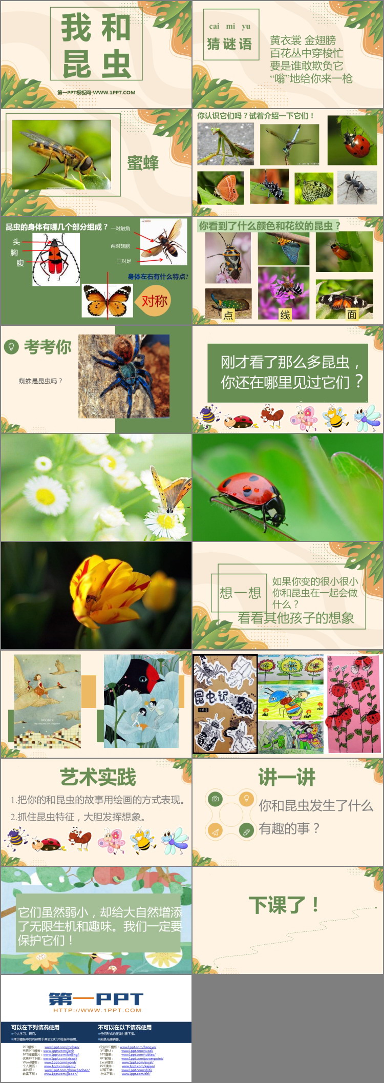 《我和昆虫》PPT课件下载
