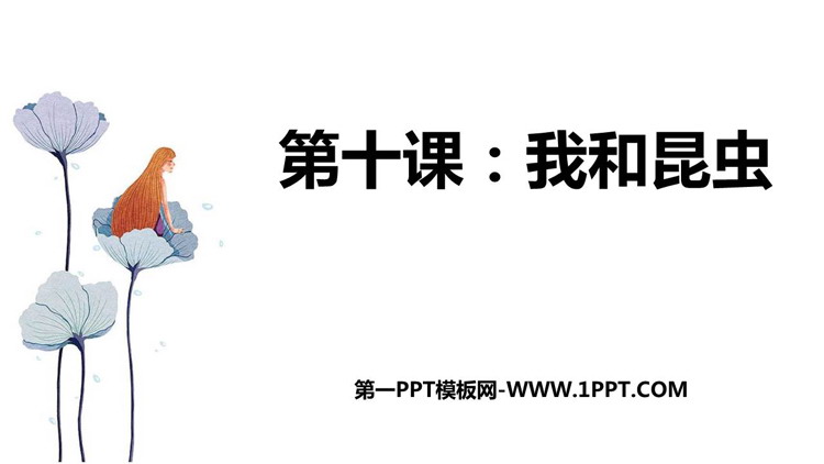 《我和昆虫》PPT免费课件