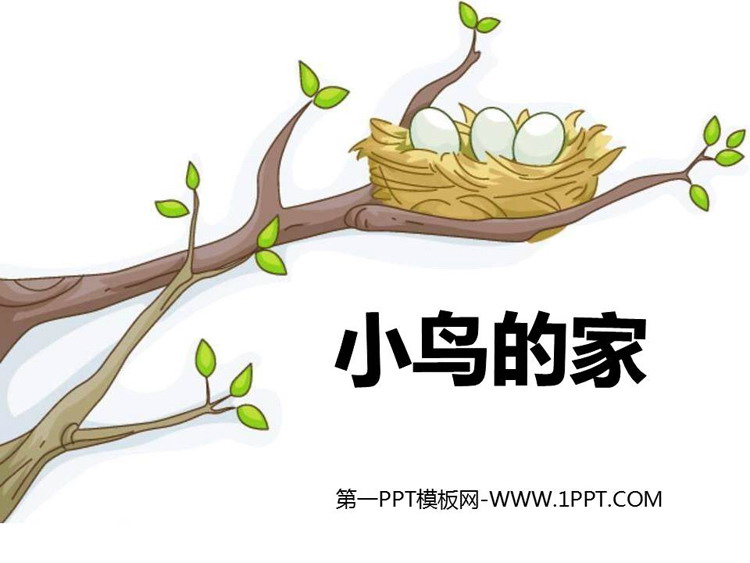 《小鸟的家》PPT精品课件