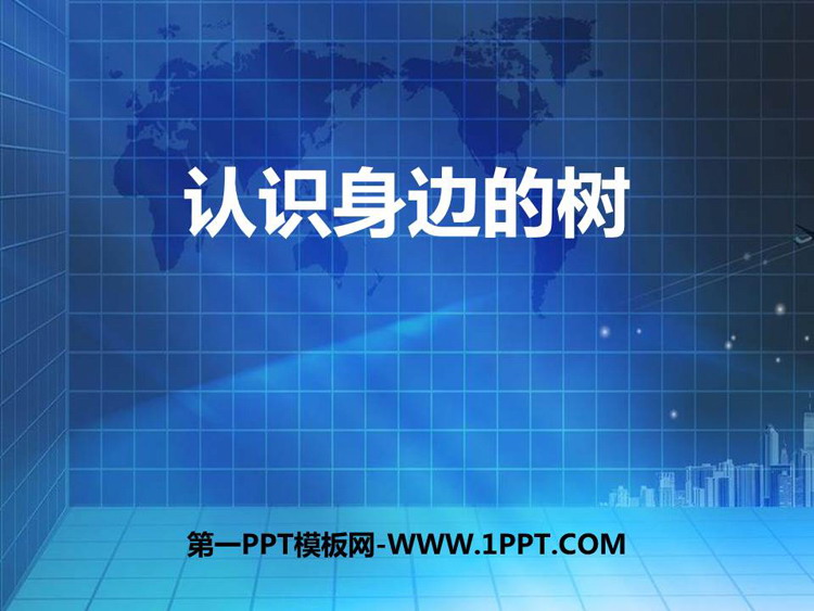 《认识身边的树》PPT课件下载