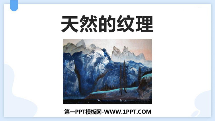 《天然的纹理》PPT优质课件