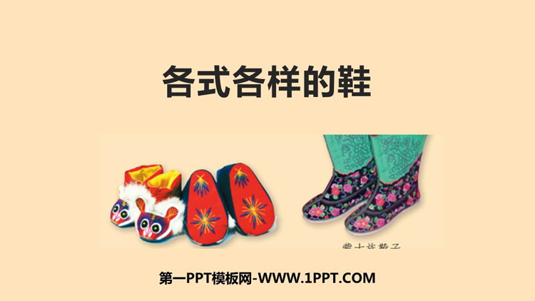 《各式各样的鞋》PPT优秀课件