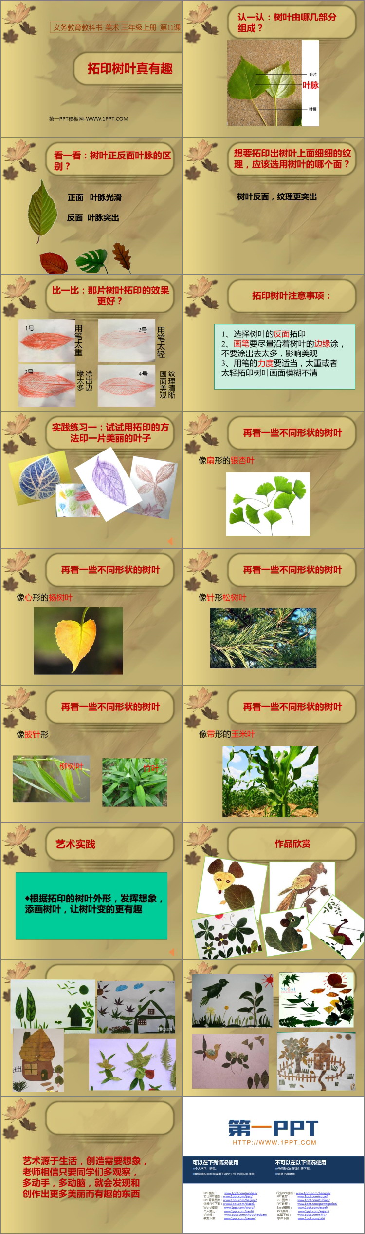 《拓印树叶真有趣》PPT教学课件