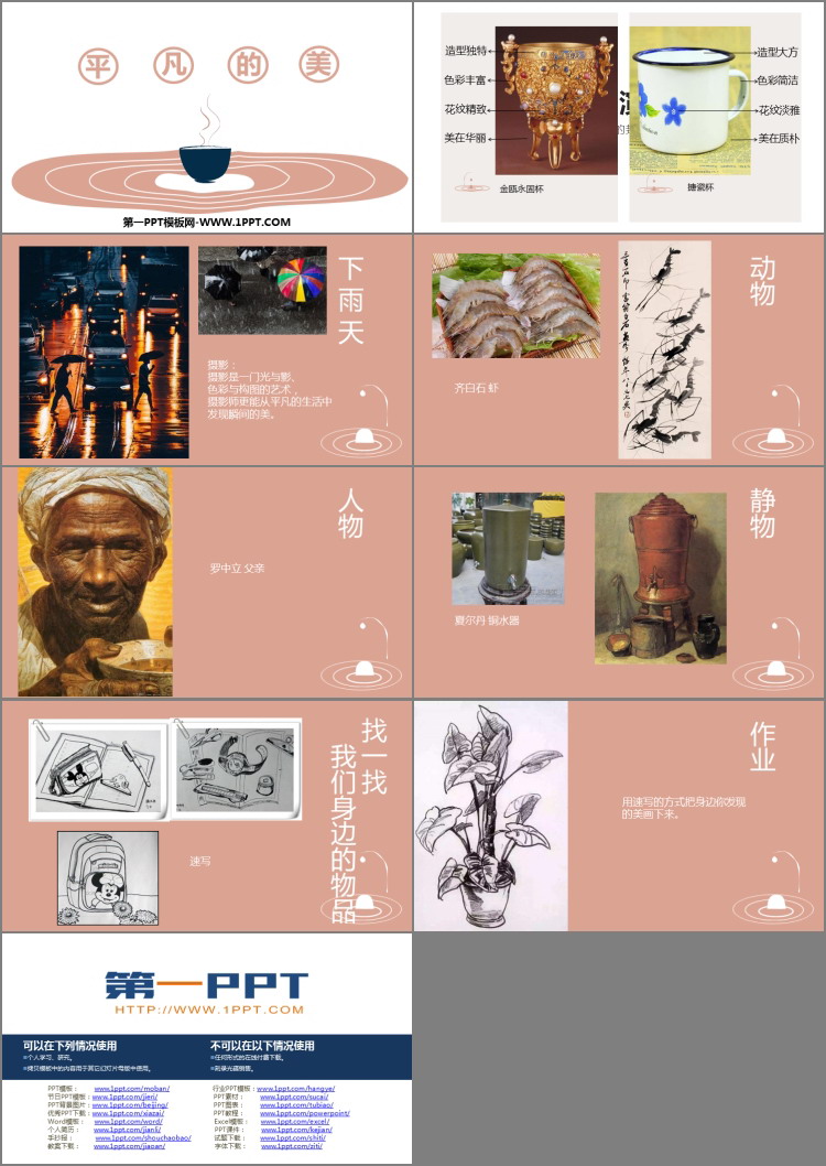 《平凡的美》PPT精品课件