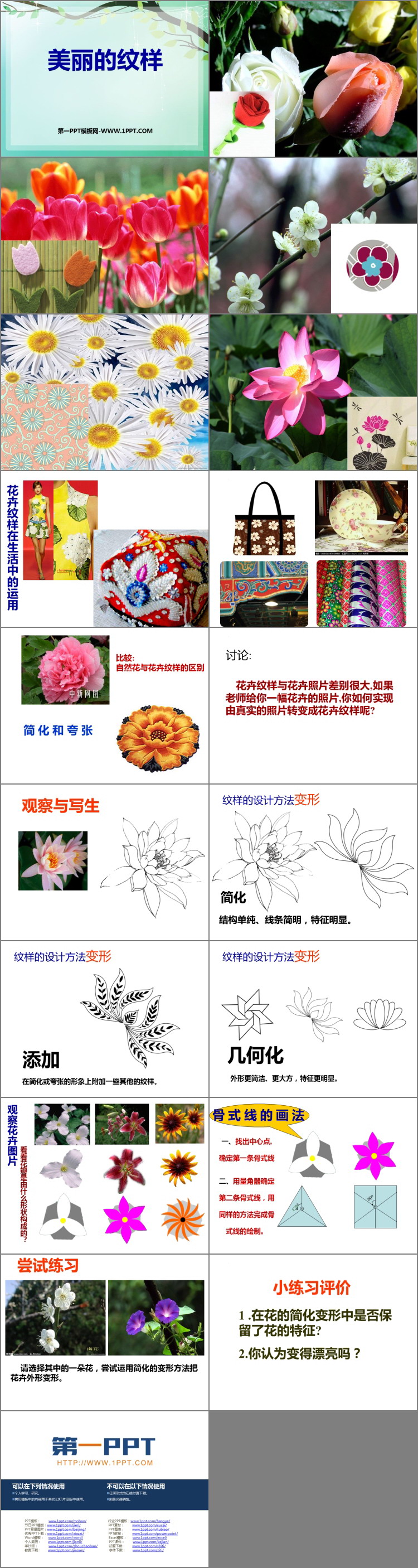《美丽的纹样》PPT优秀课件