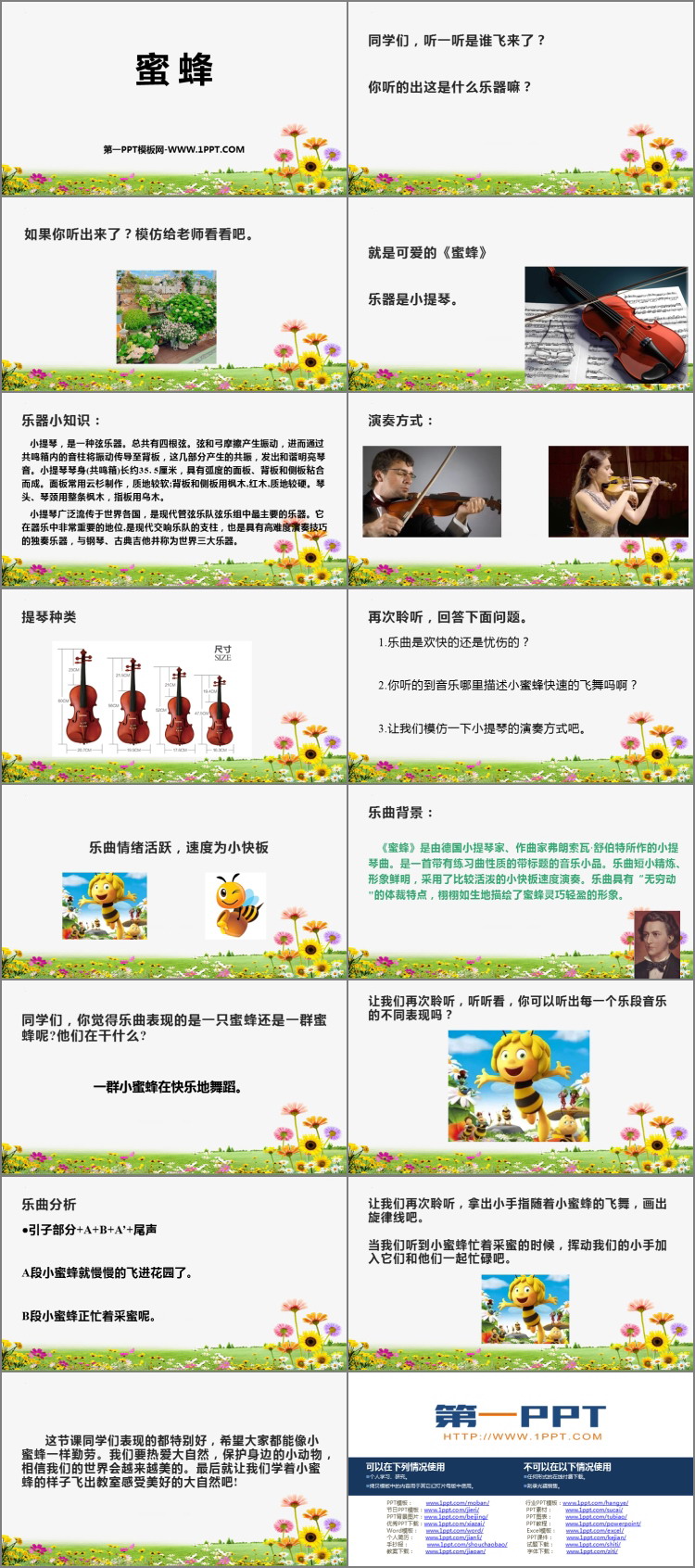 《蜜蜂》PPT免费课件
