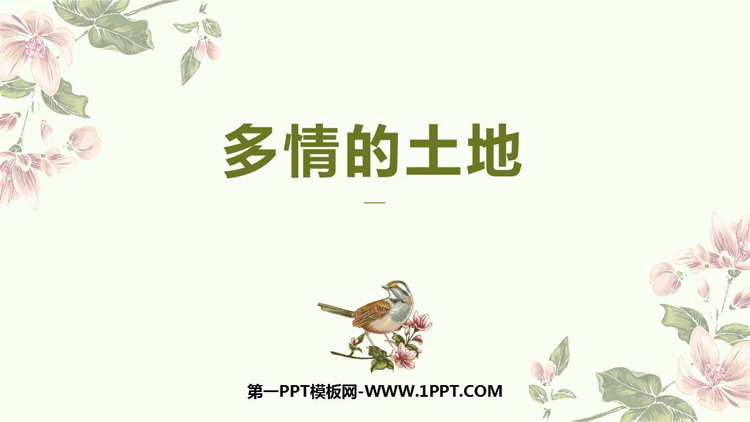 《多情的土地》PPT课件
