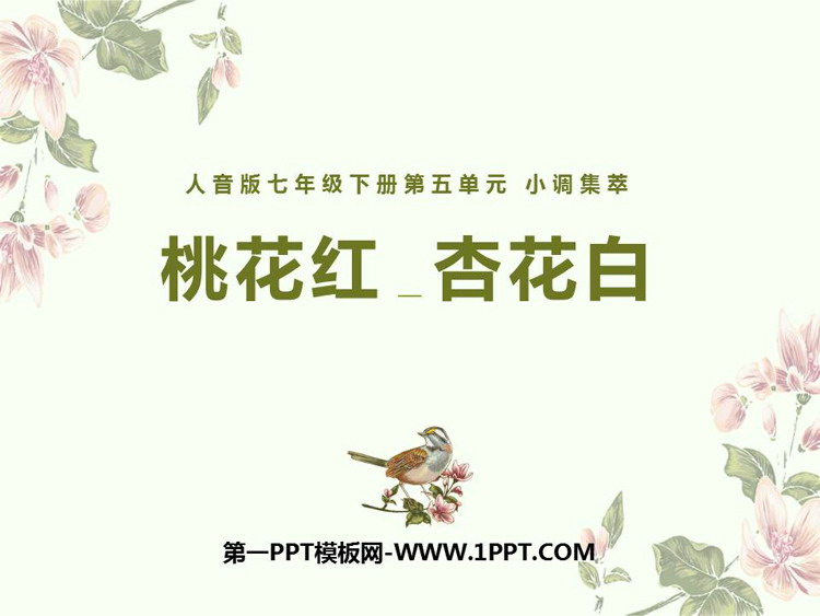 《桃花红杏花白》PPT教学课件