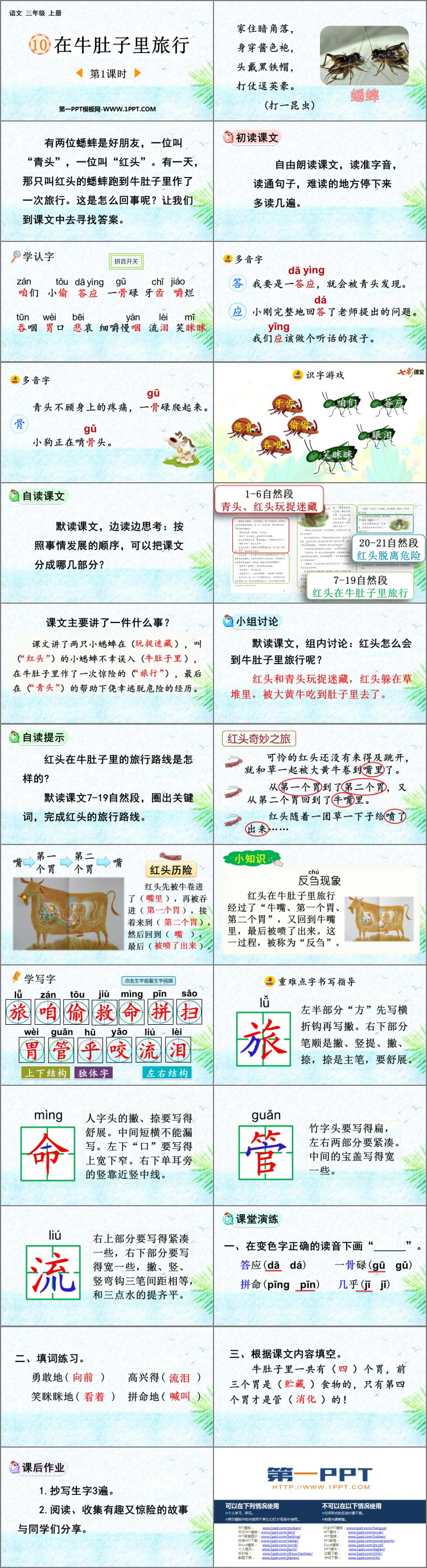 《在牛肚子里旅行》PPT免费课件(第1课时)