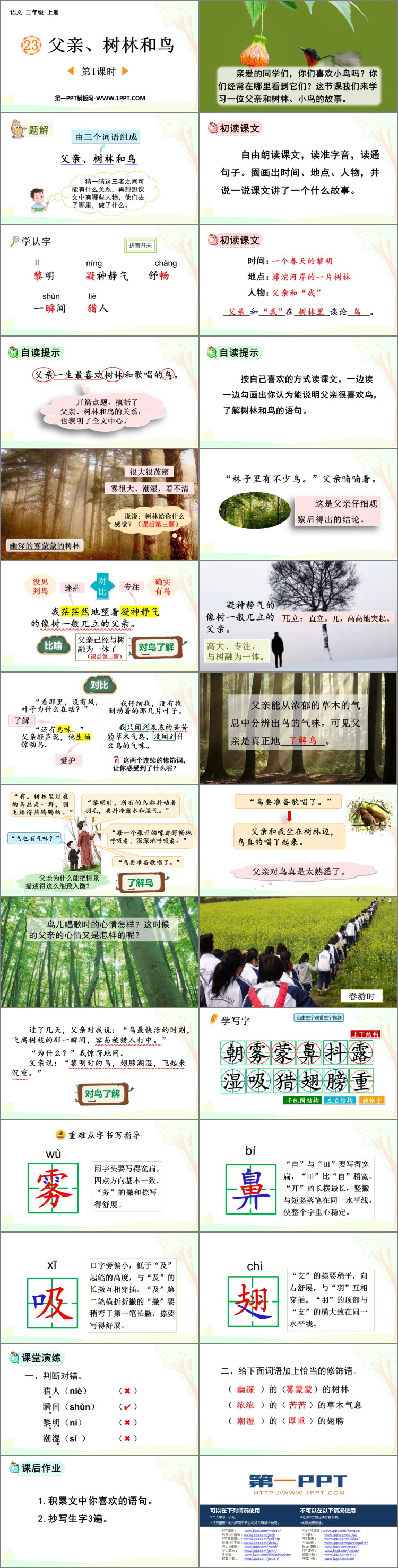 《父亲、树林和鸟》PPT免费课件(第1课时)