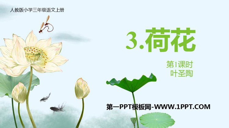 《荷花》PPT免费下载(第1课时)