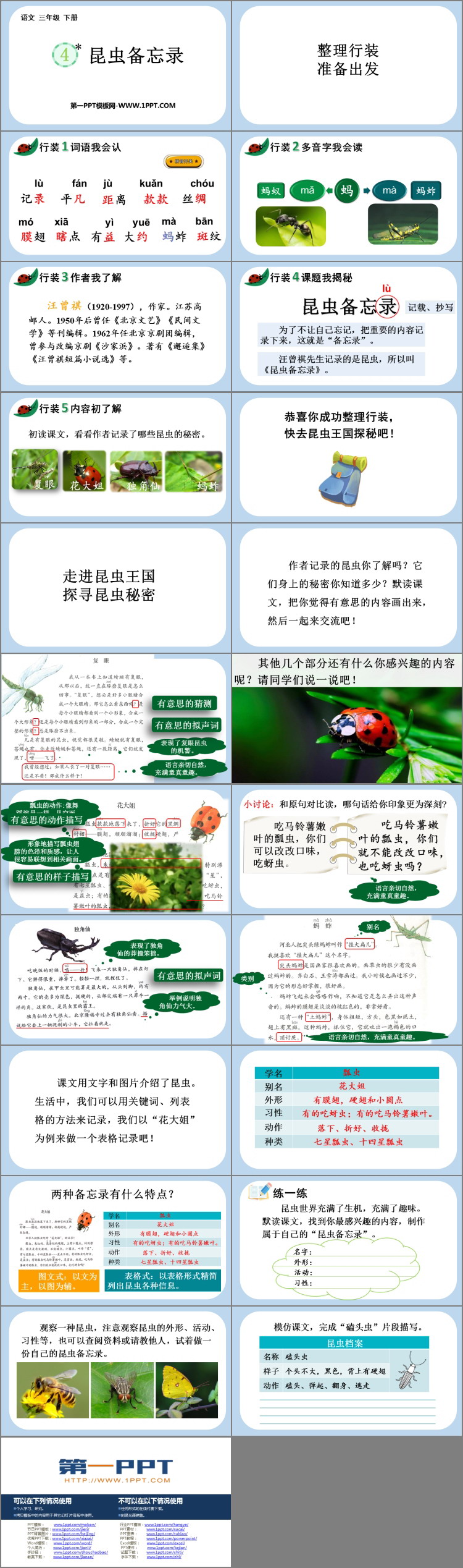 《昆虫备忘录》PPT精品教学课件