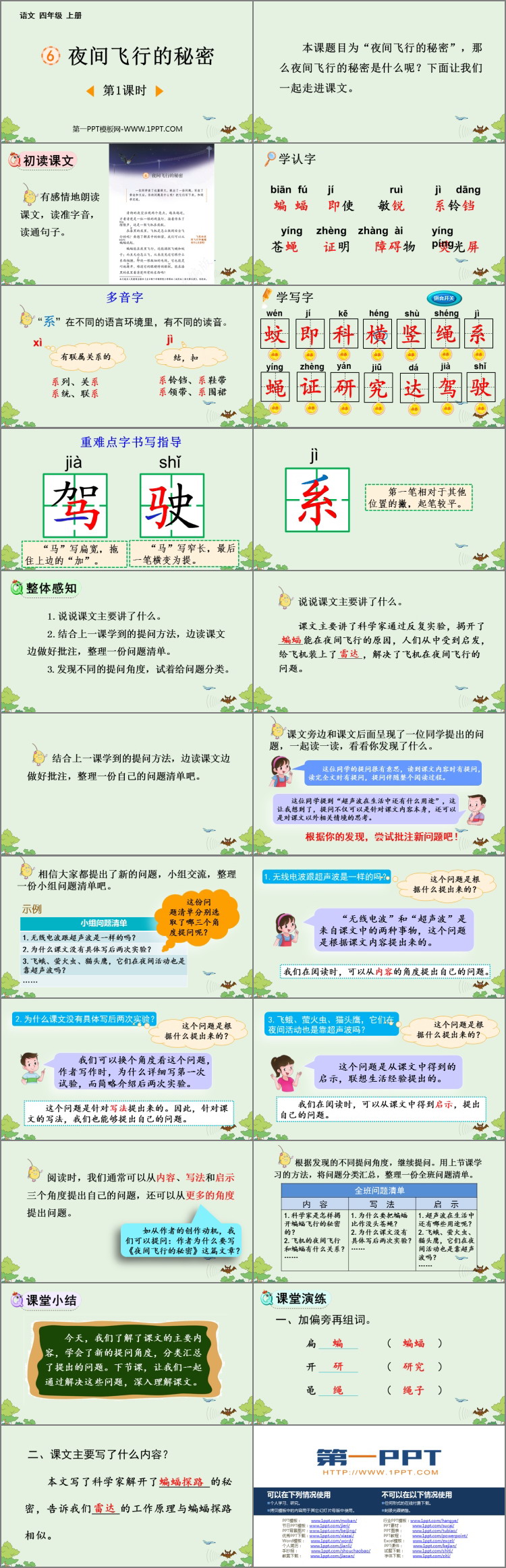 《夜间飞行的秘密》PPT免费课件(第1课时)