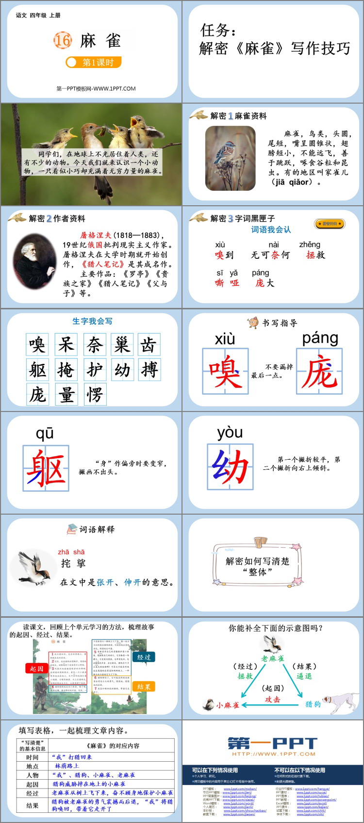 《麻雀》PPT免费课件(第1课时)