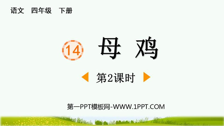 《母鸡》PPT免费课件(第2课时)