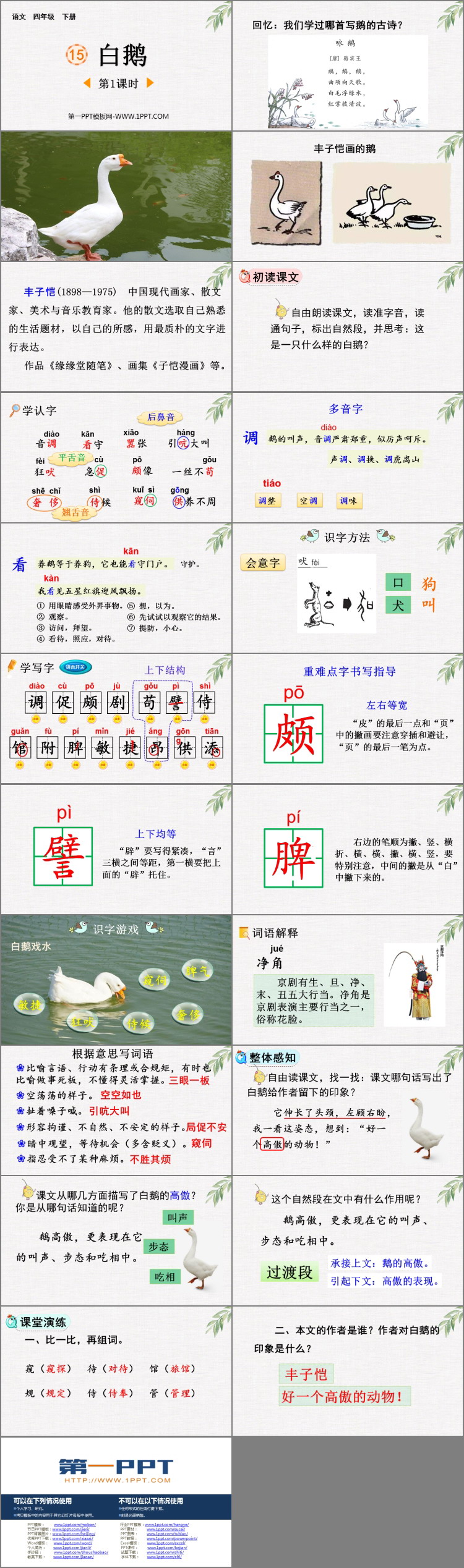 《白鹅》PPT免费课件(第1课时)