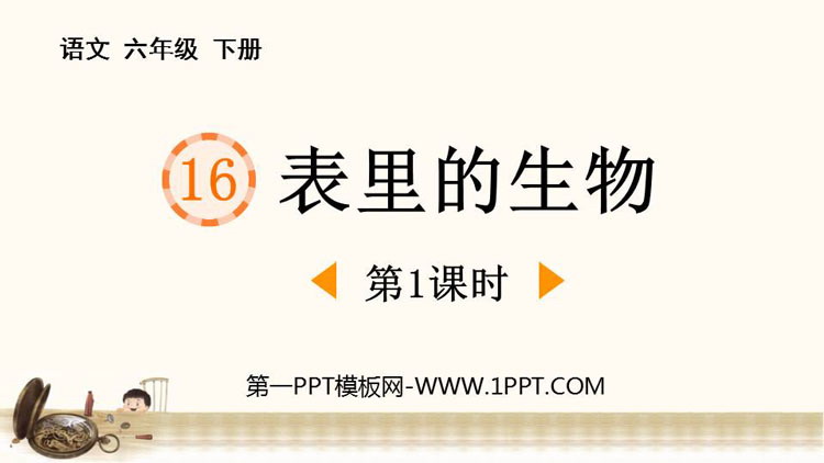 《表里的生物》PPT课件下载(第1课时)