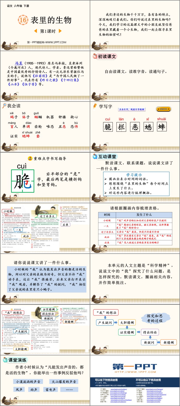 《表里的生物》PPT课件下载(第1课时)