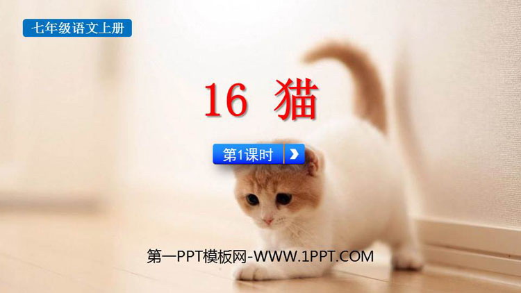 《猫》PPT精品课件(第1课时)