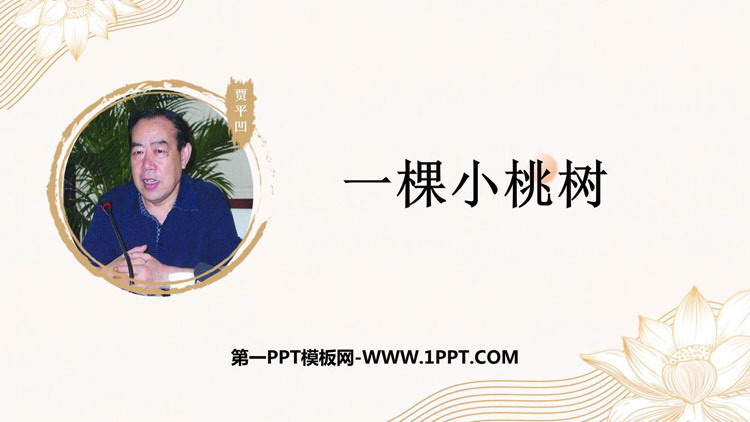 《一棵小桃树》PPT免费精品课件