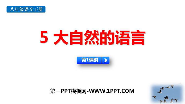 《大自然的语言》PPT下载(第1课时)