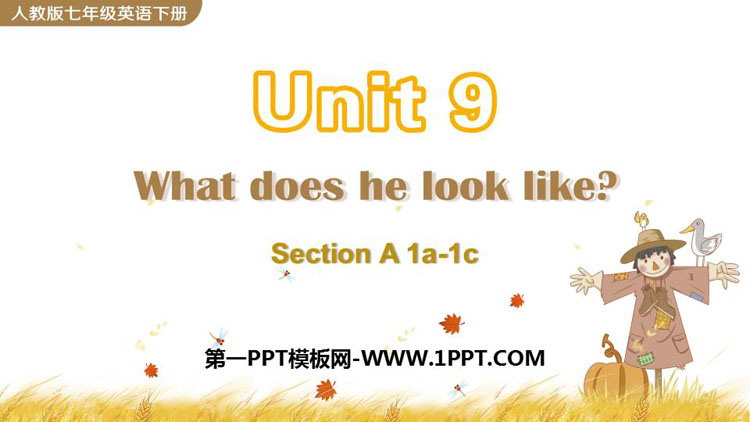 《What does he look like?》SectionA PPT课件下载(第1课时)