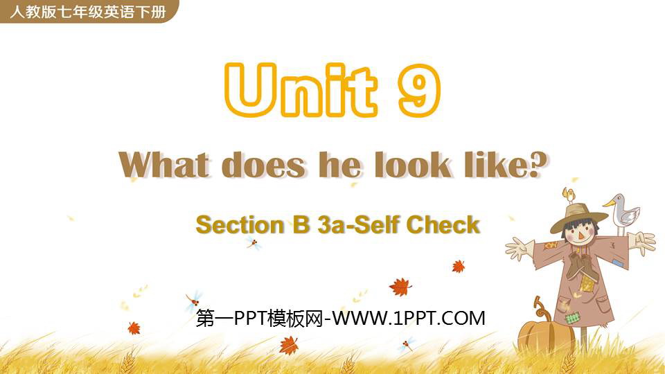 《What does he look like?》SectionB PPT课件下载(第3课时)